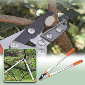 Coupe branche | Nosjardineco ™ – Image 5