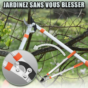 Coupe branche | Nosjardineco ™ – Image 2
