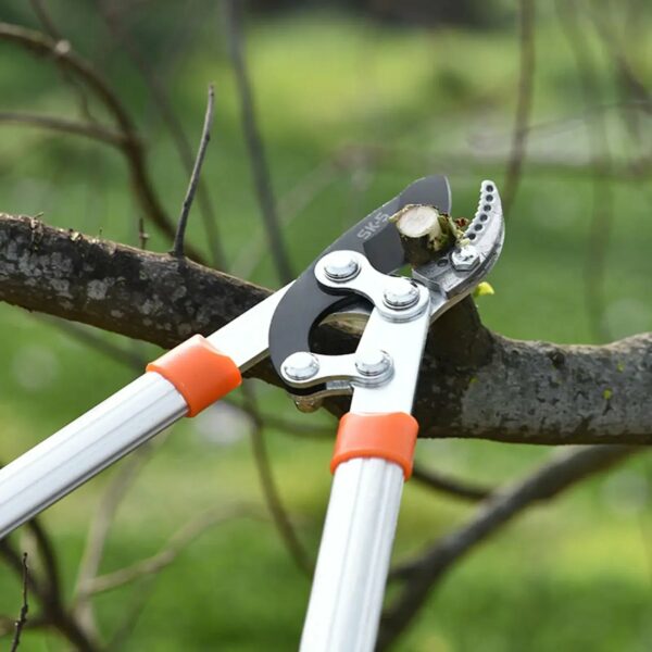Coupe branche | Nosjardineco ™ – Image 4