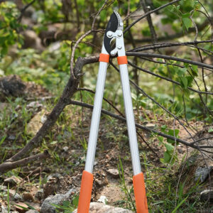 Coupe branche | Nosjardineco ™
